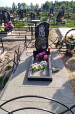 IMG-ae03330b431d0a316eb99d13934630fd-V